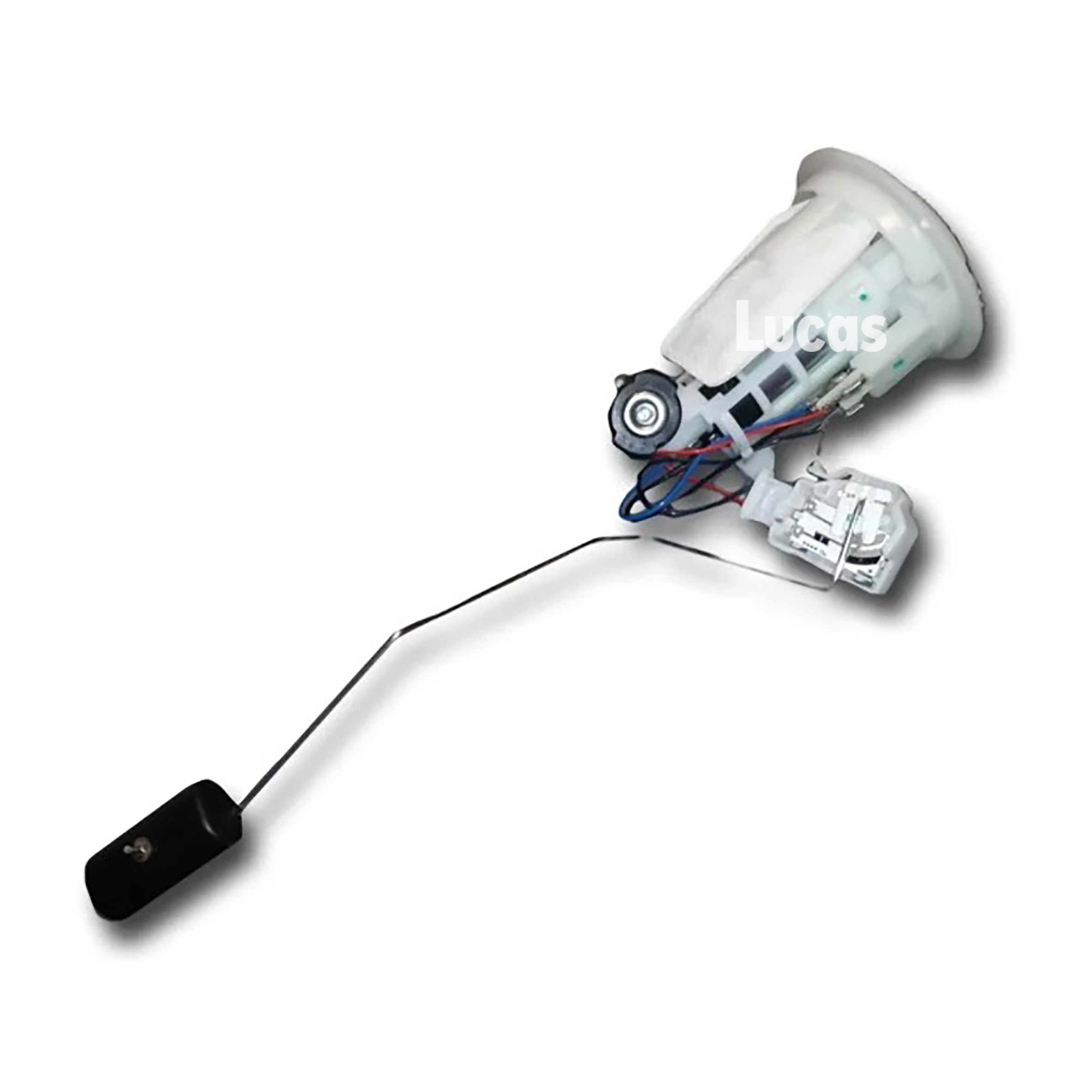 Lucas LEFSL075