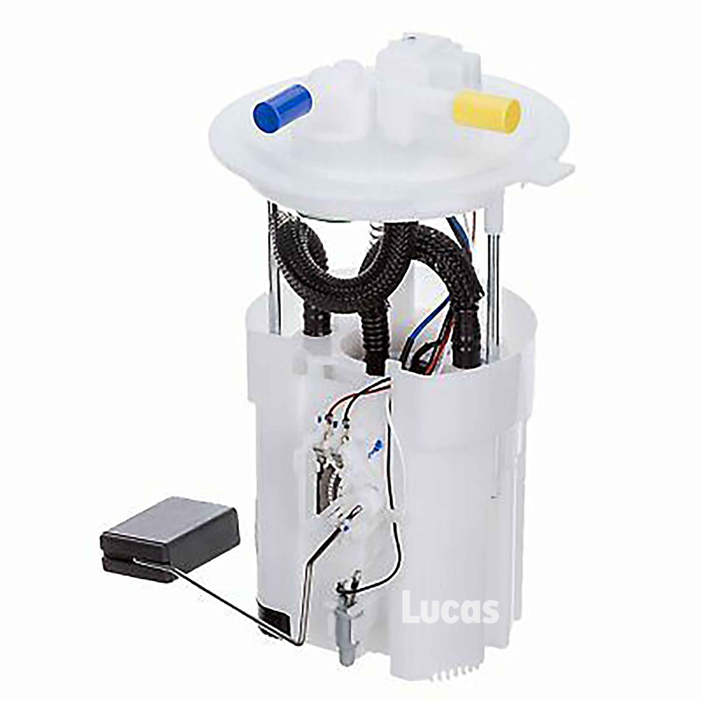 Lucas LEFSL079