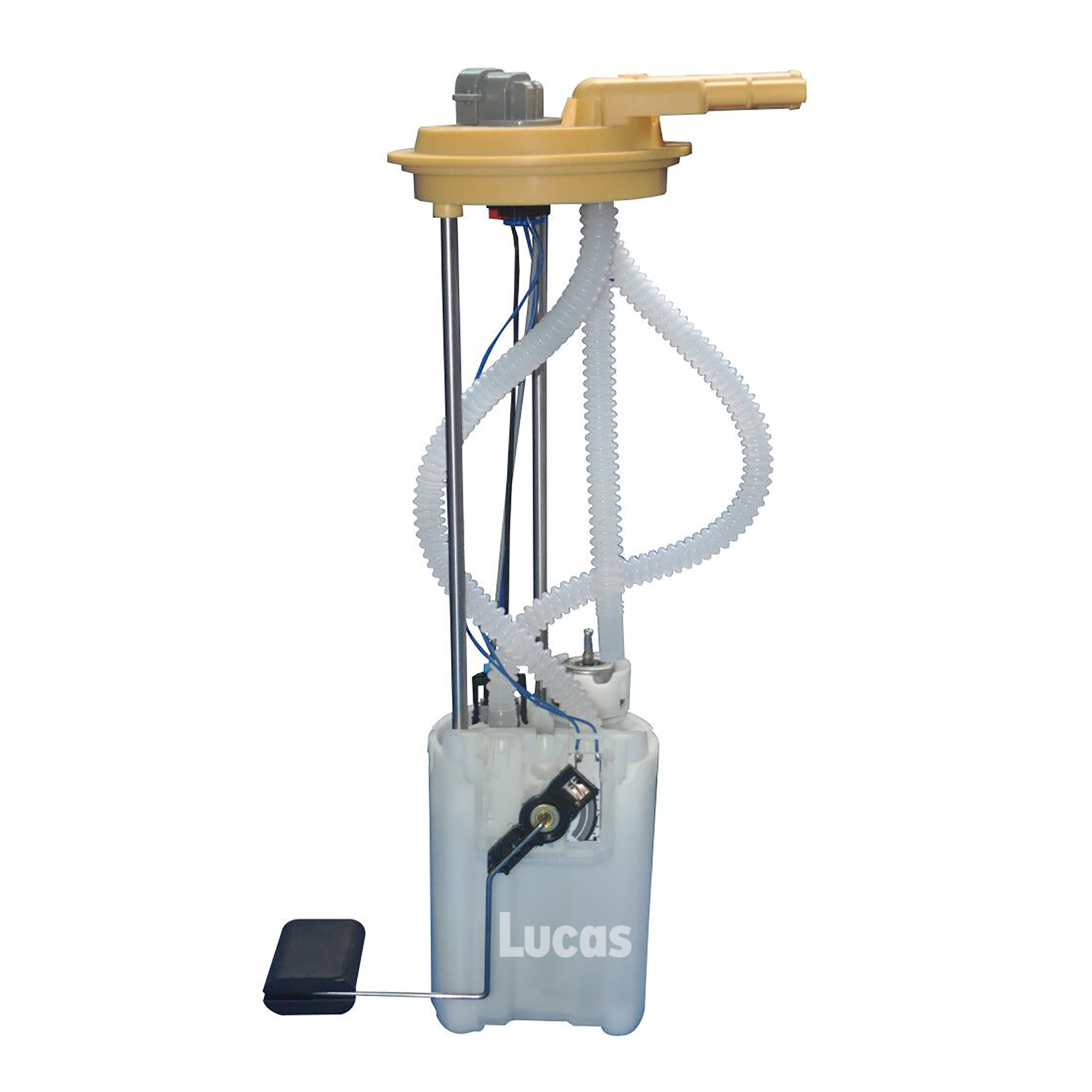 Lucas LEFSL080