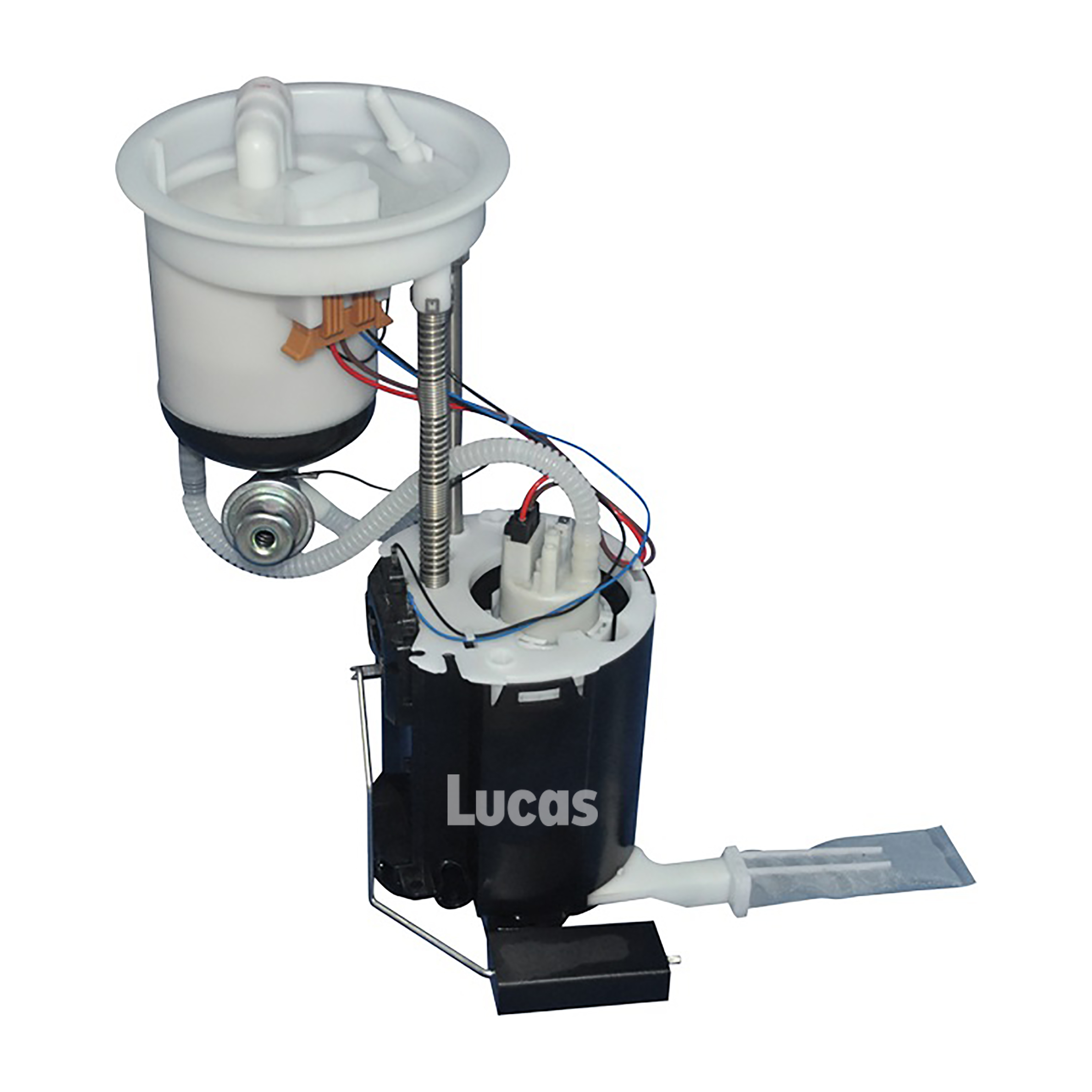 Lucas LEFSL081
