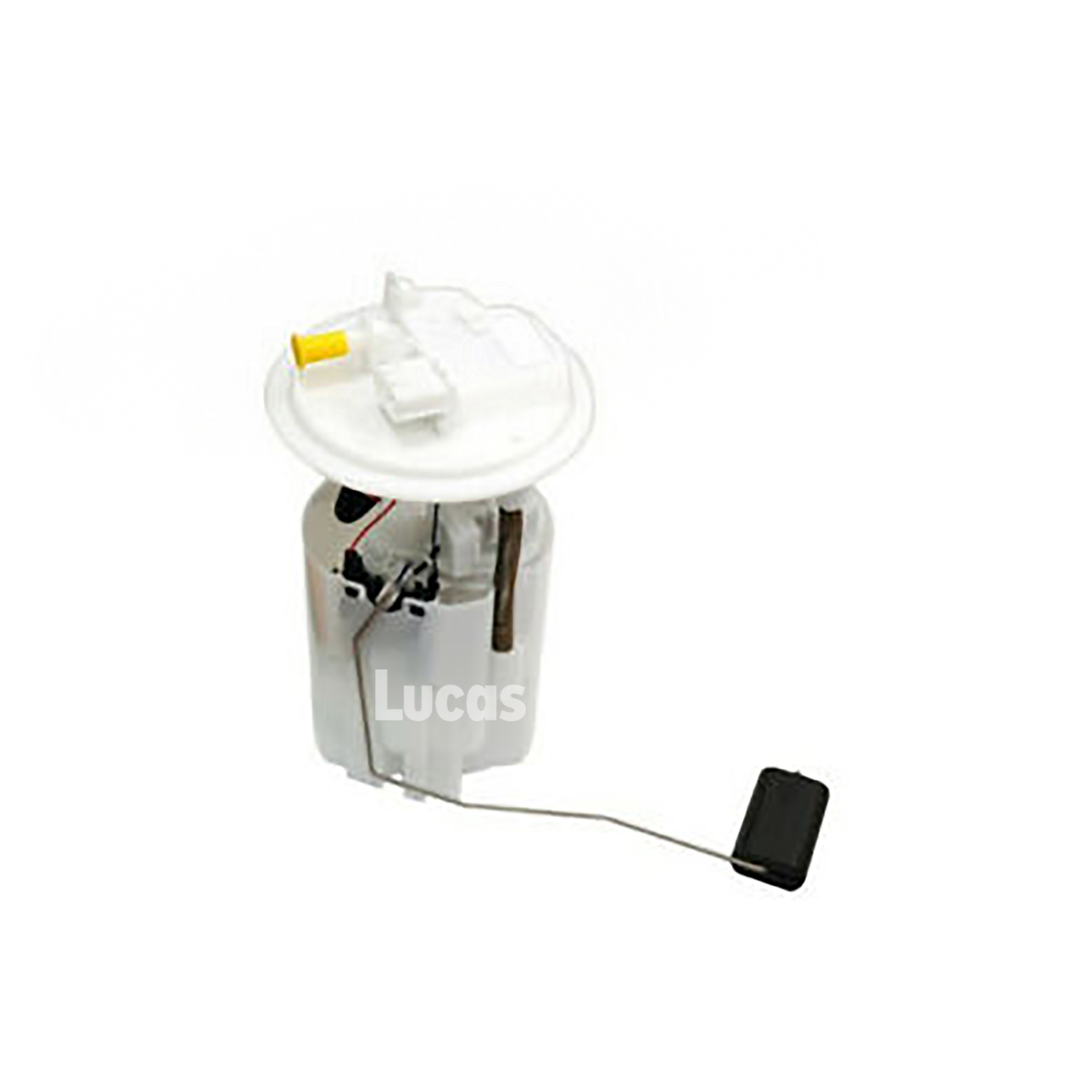 Lucas LEFSL083