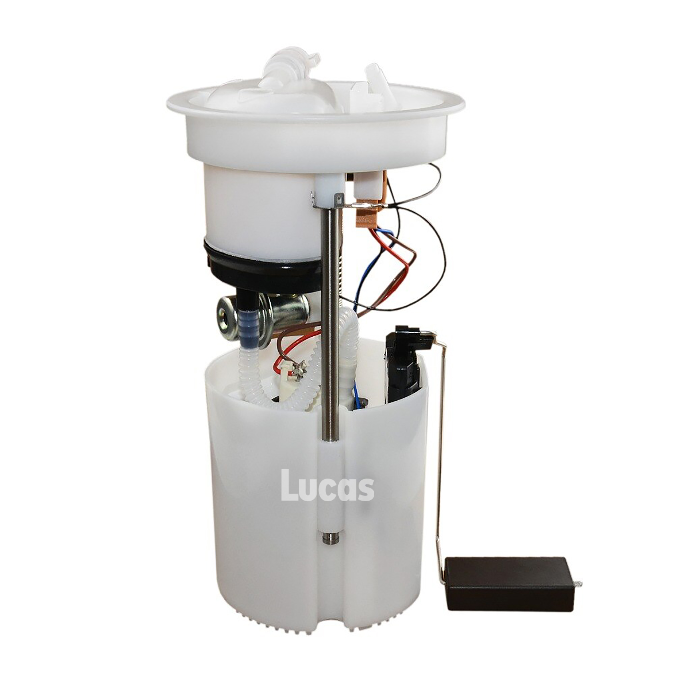 Lucas LEFSL084