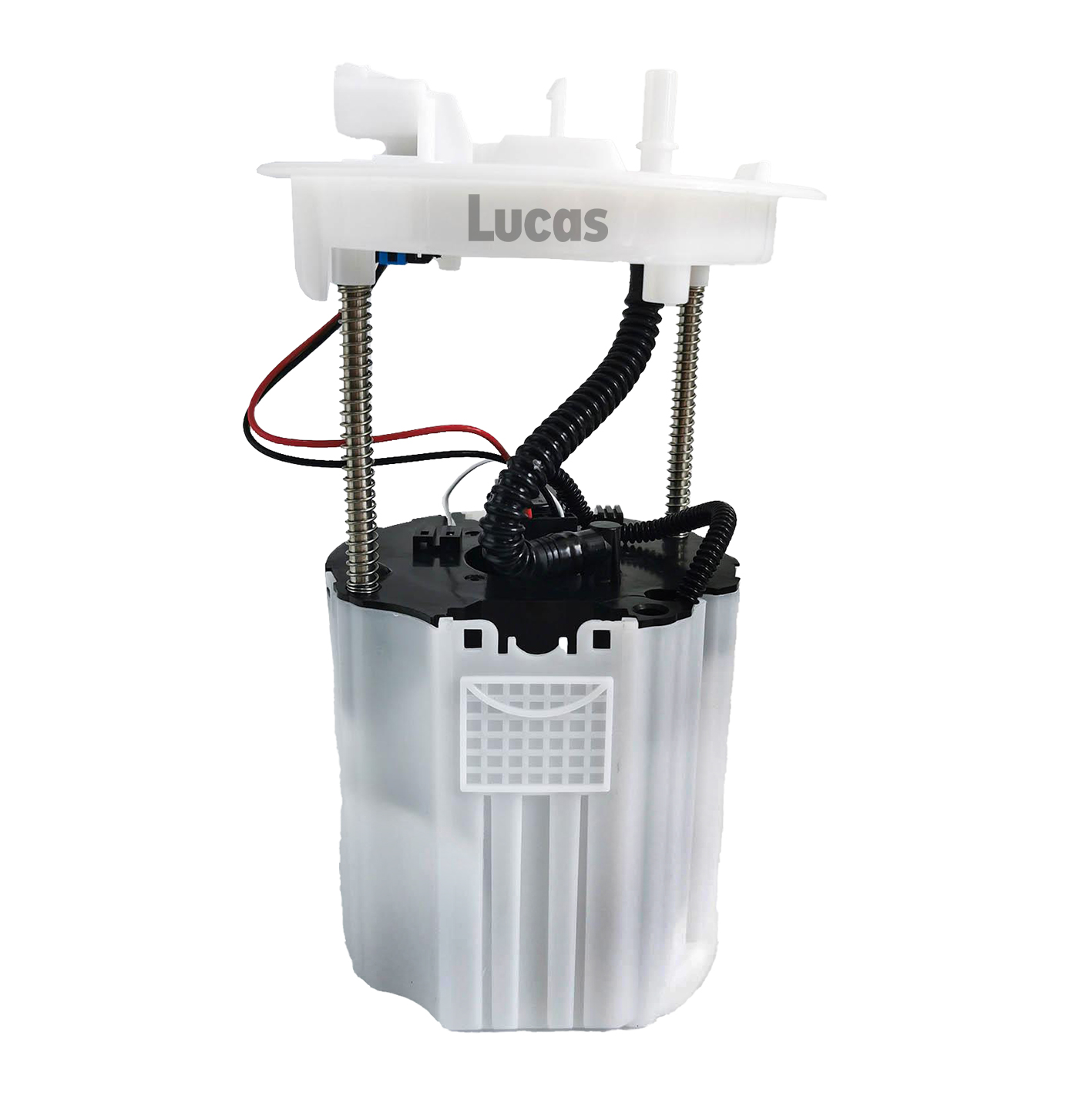 Lucas LEFSL099