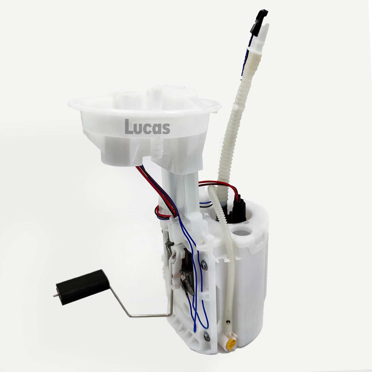 Lucas LEFSL106