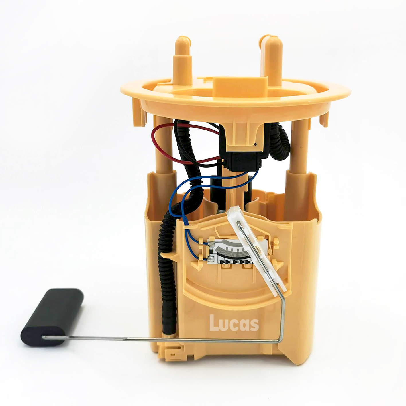 Lucas LEFSL113