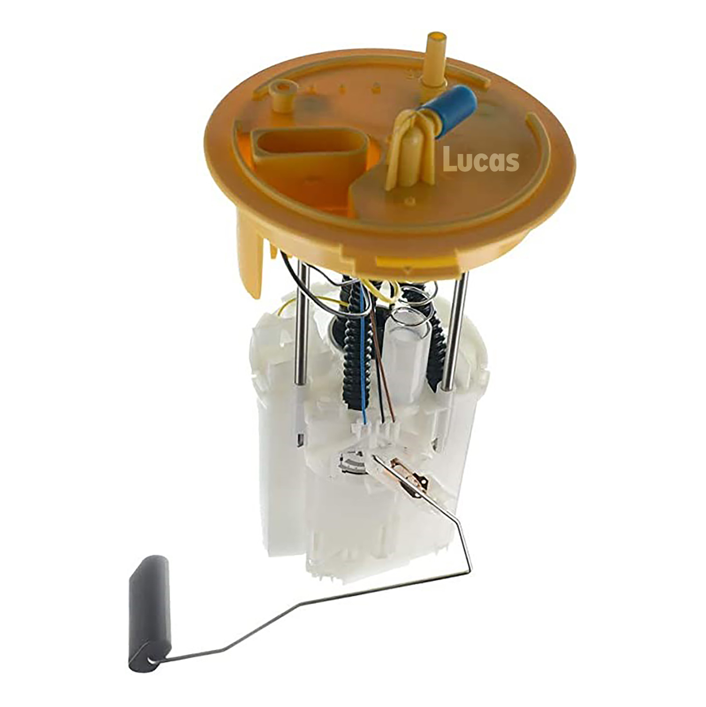 Lucas LEFSL117