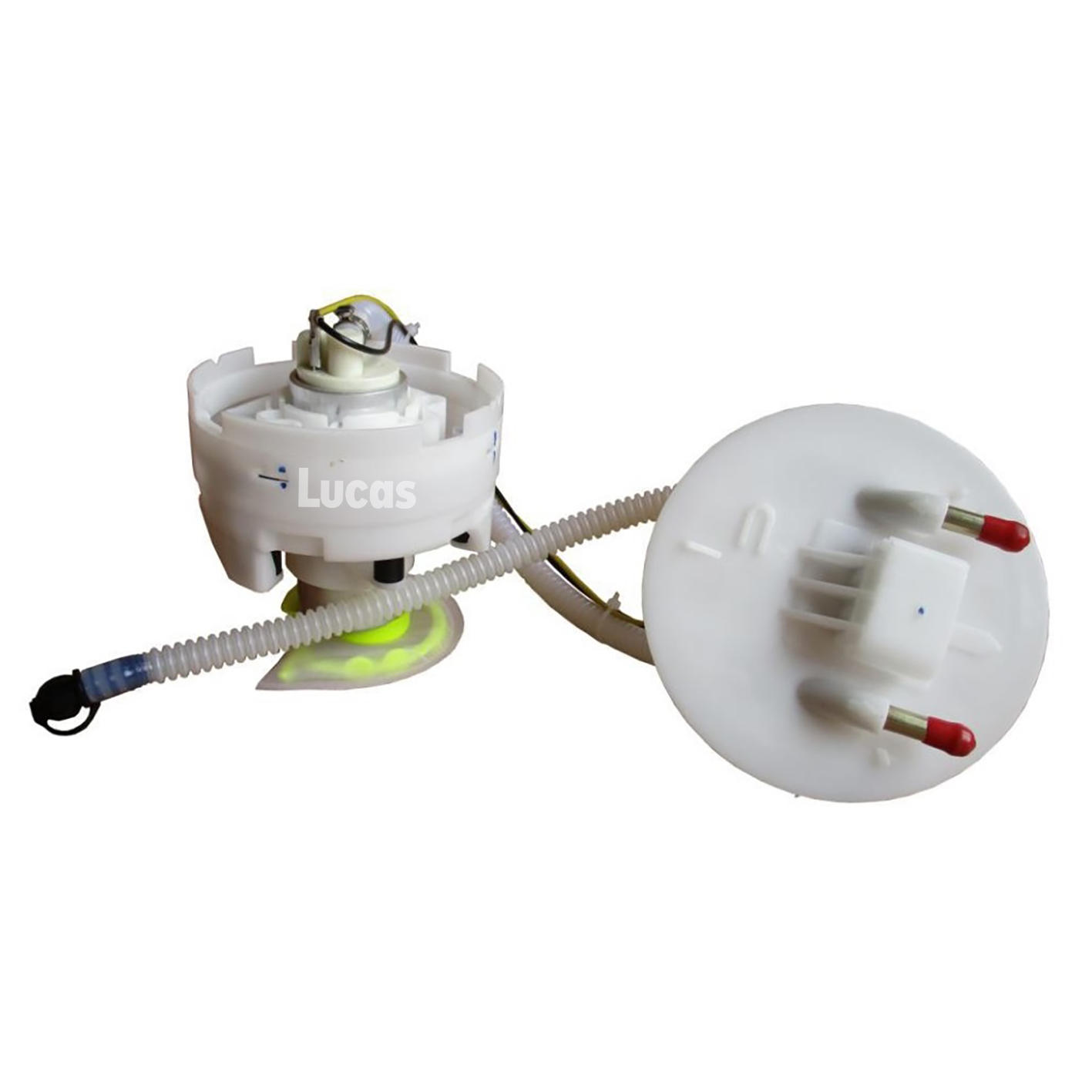 Lucas LEFSL120