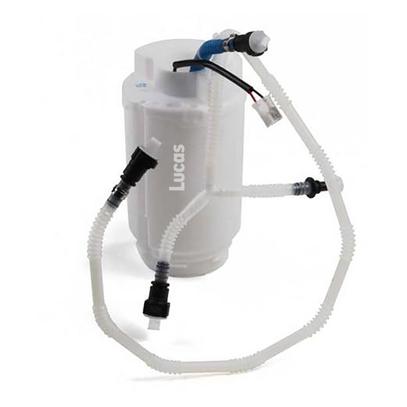 Lucas LEFSL122