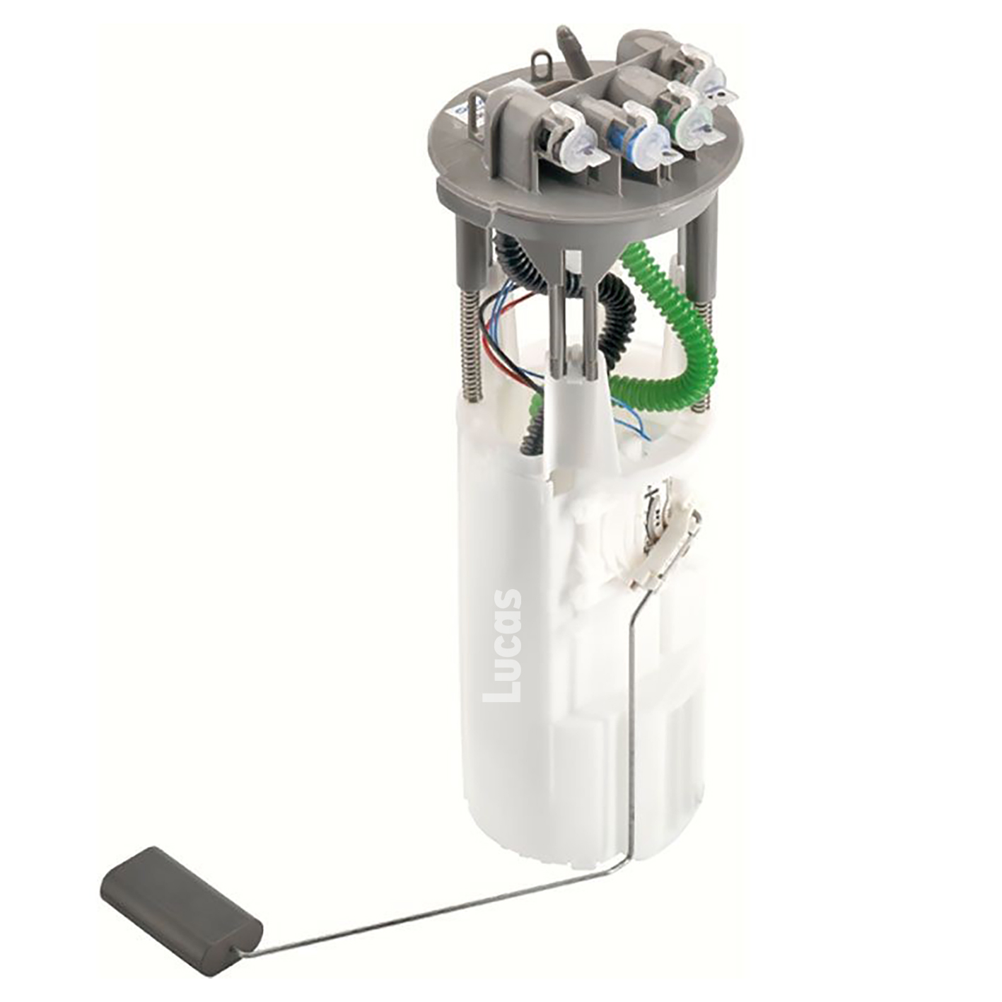 Lucas LEFSL123