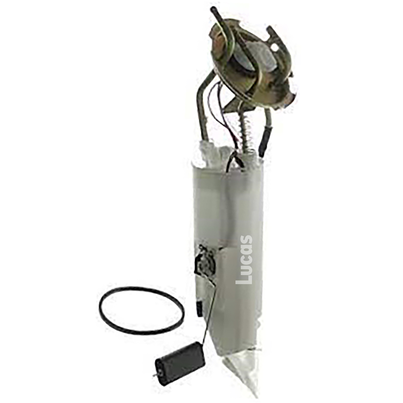 Lucas LEFSL124