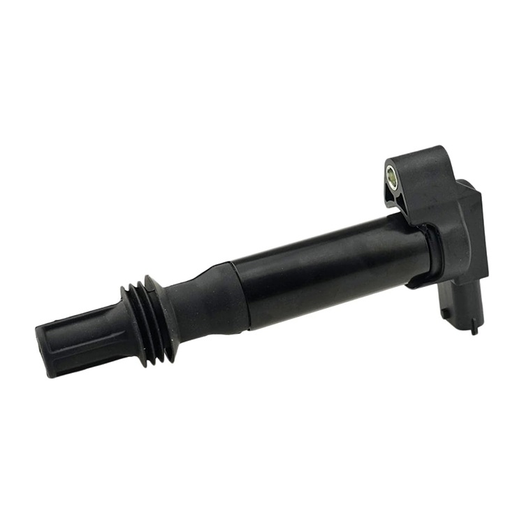 Lucas LEIG310