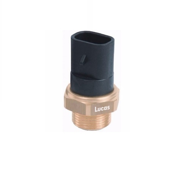Lucas LEMSE008