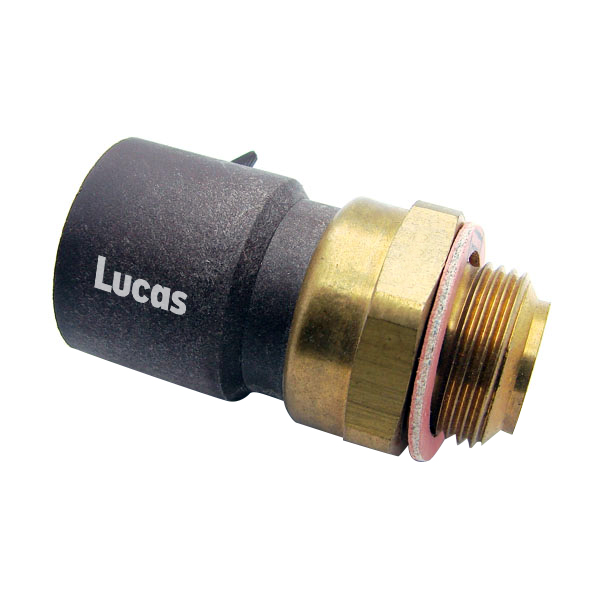 Lucas LEMSE013