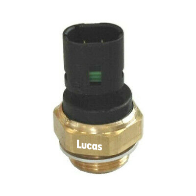 Lucas LEMSE025