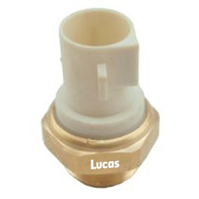 Lucas LEMSE026
