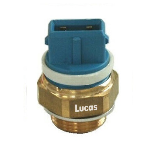 Lucas LEMSE028
