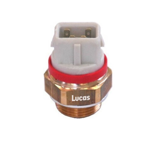 Lucas LEMSE035