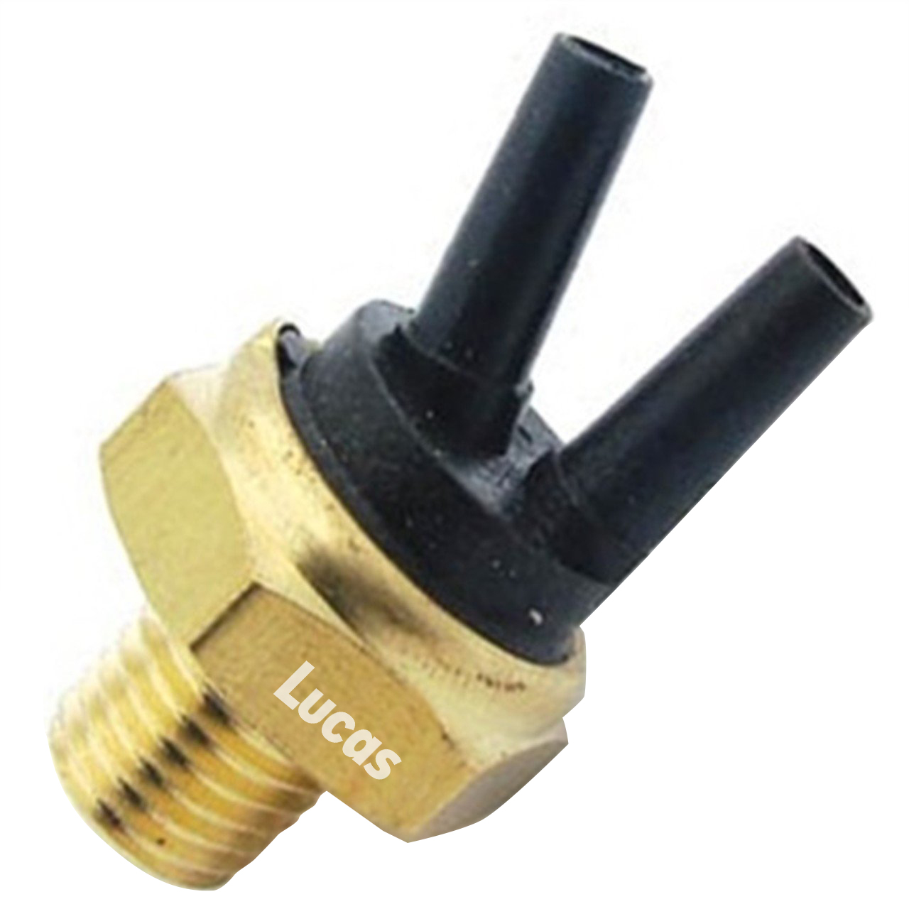 Lucas LEMSE056