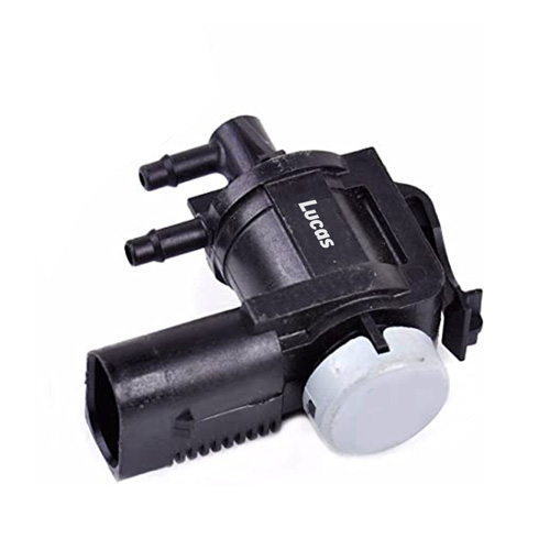 LECV011