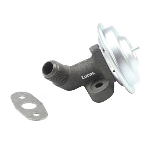 LECV020