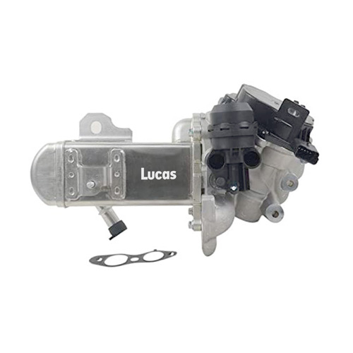 LECV068