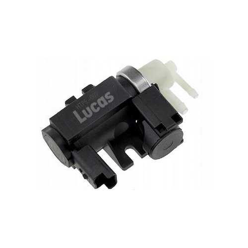 LECV076
