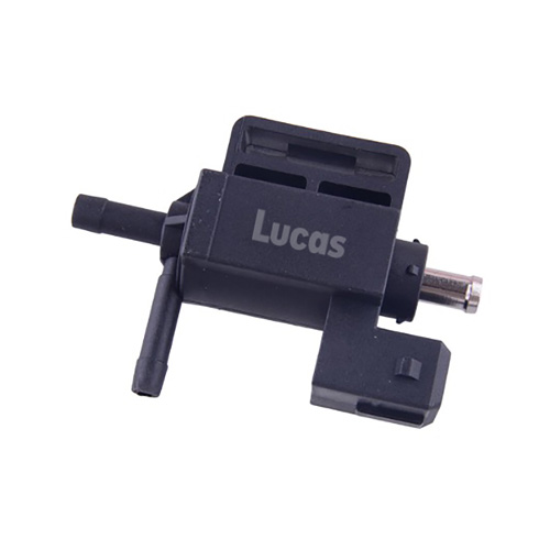 LECV081