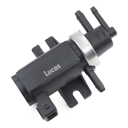 LECV089
