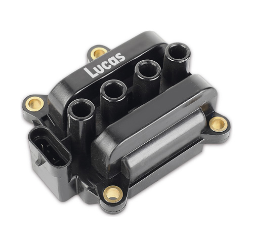 LEIG061