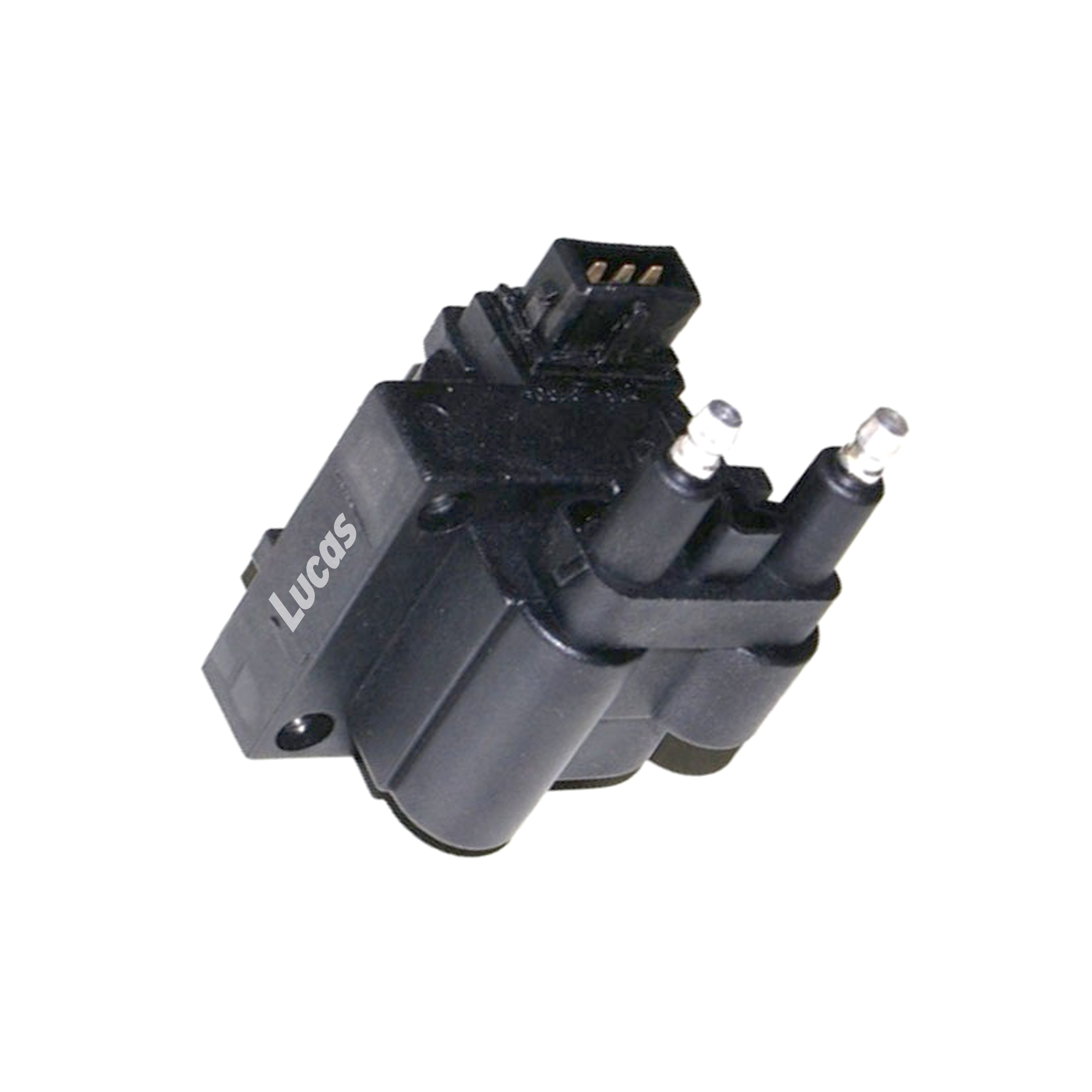LEIG068