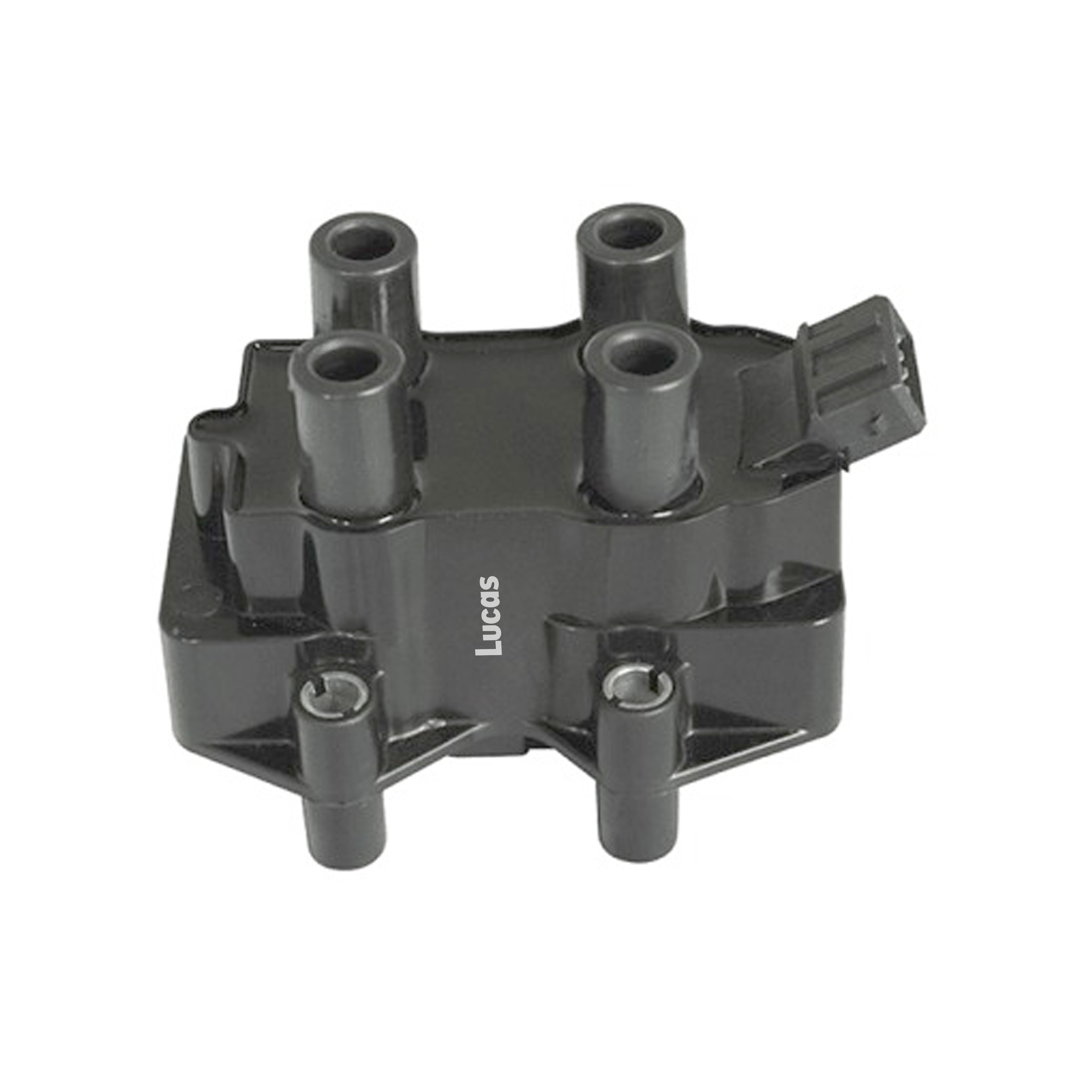 LEIG211