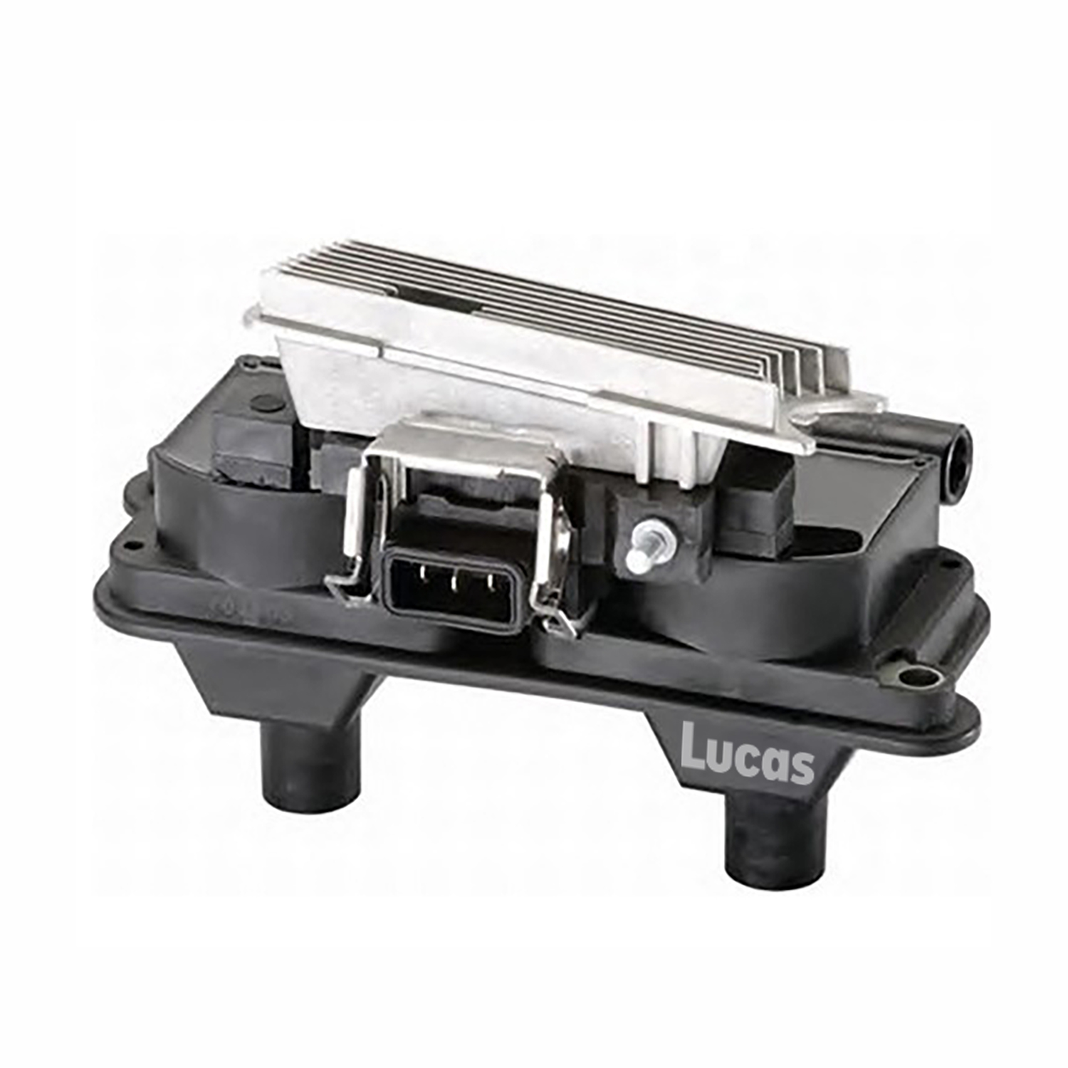 LEIG253
