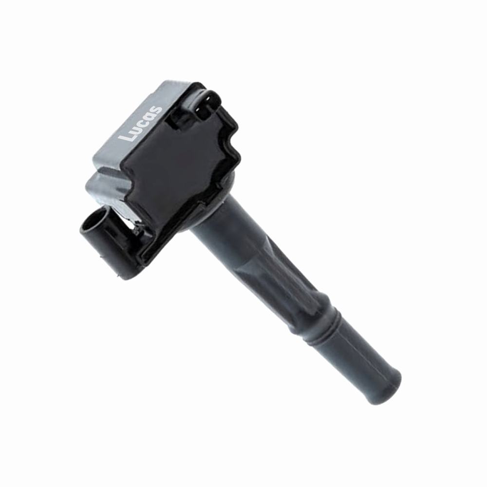 LEIG303