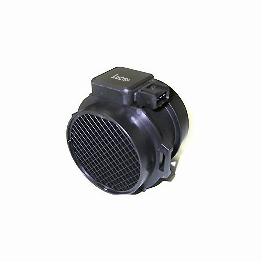 LEMSA002