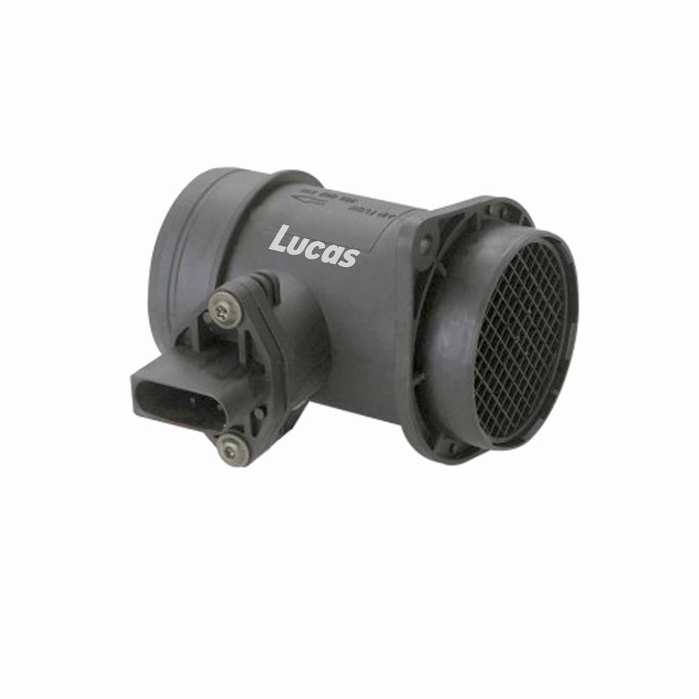 LEMSA010