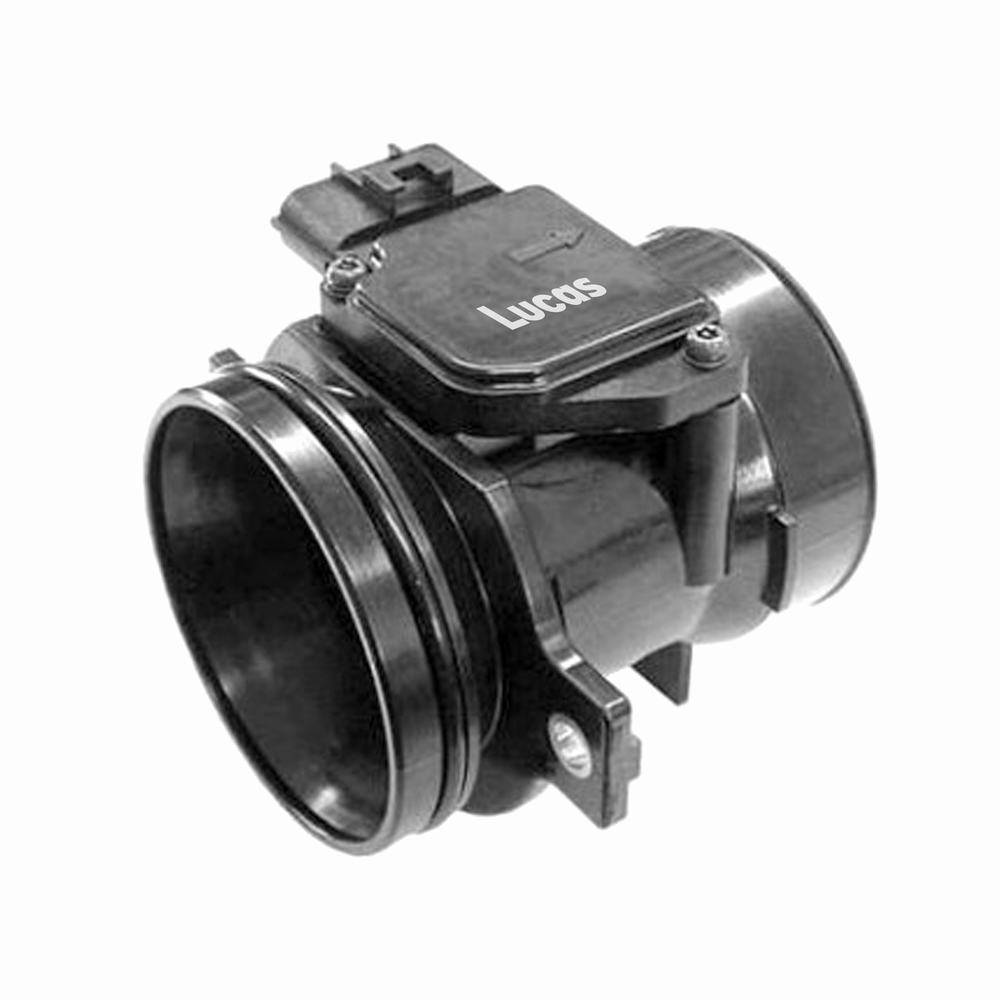 LEMSA019