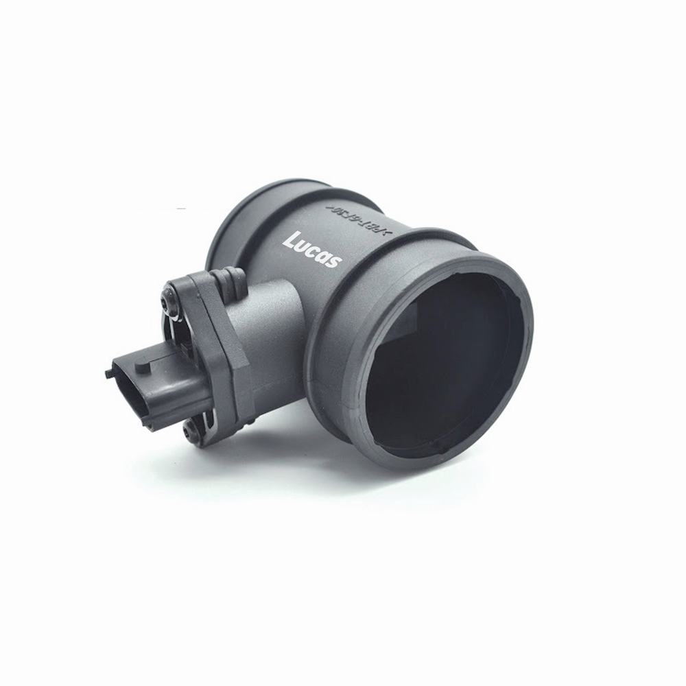 LEMSA031
