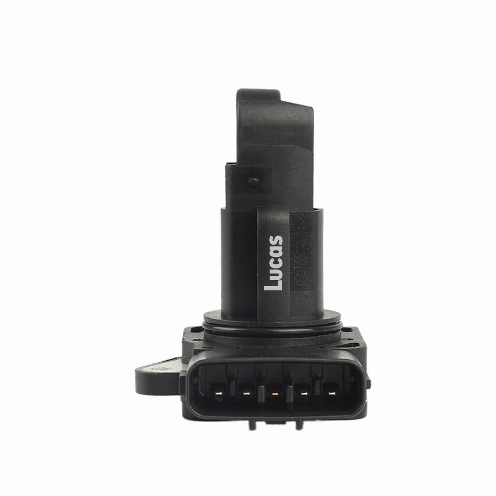 LEMSA038