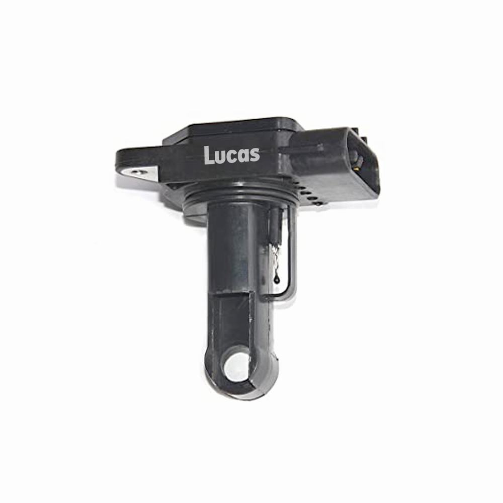 LEMSA058