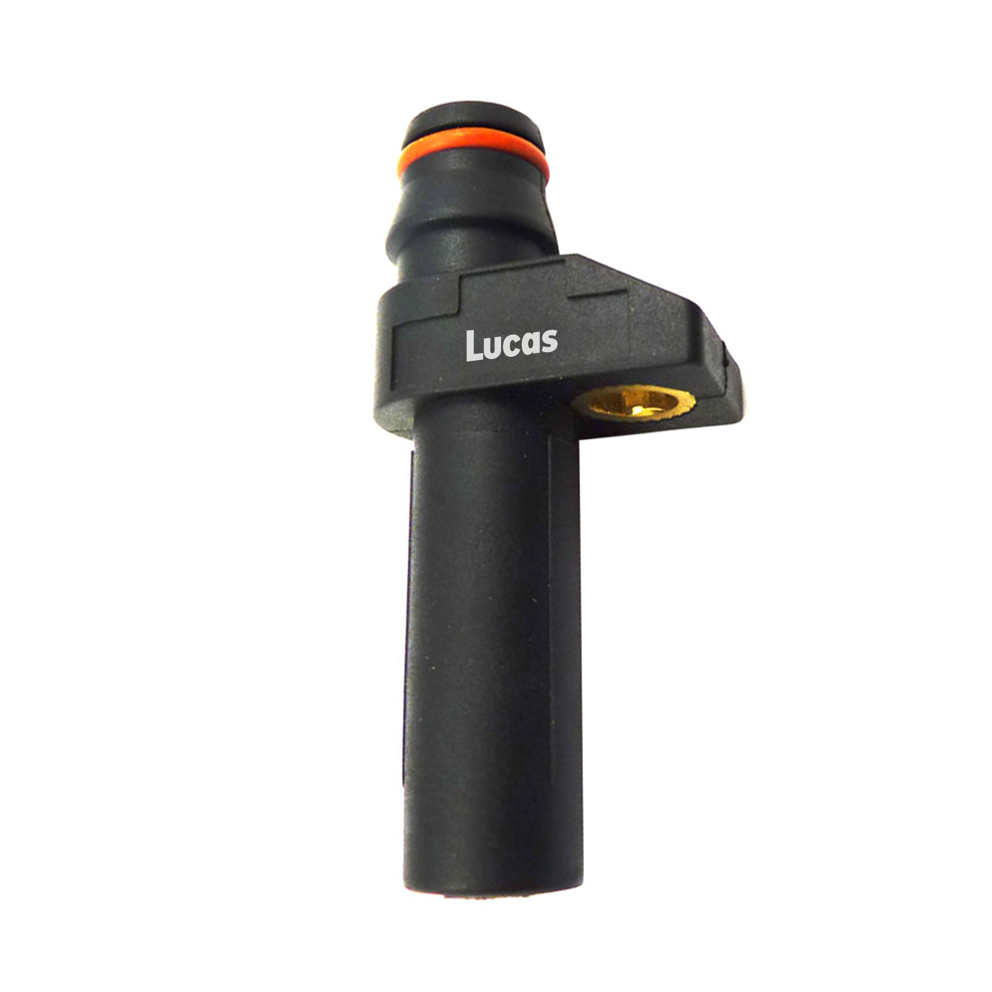 Lucas LEMSR113