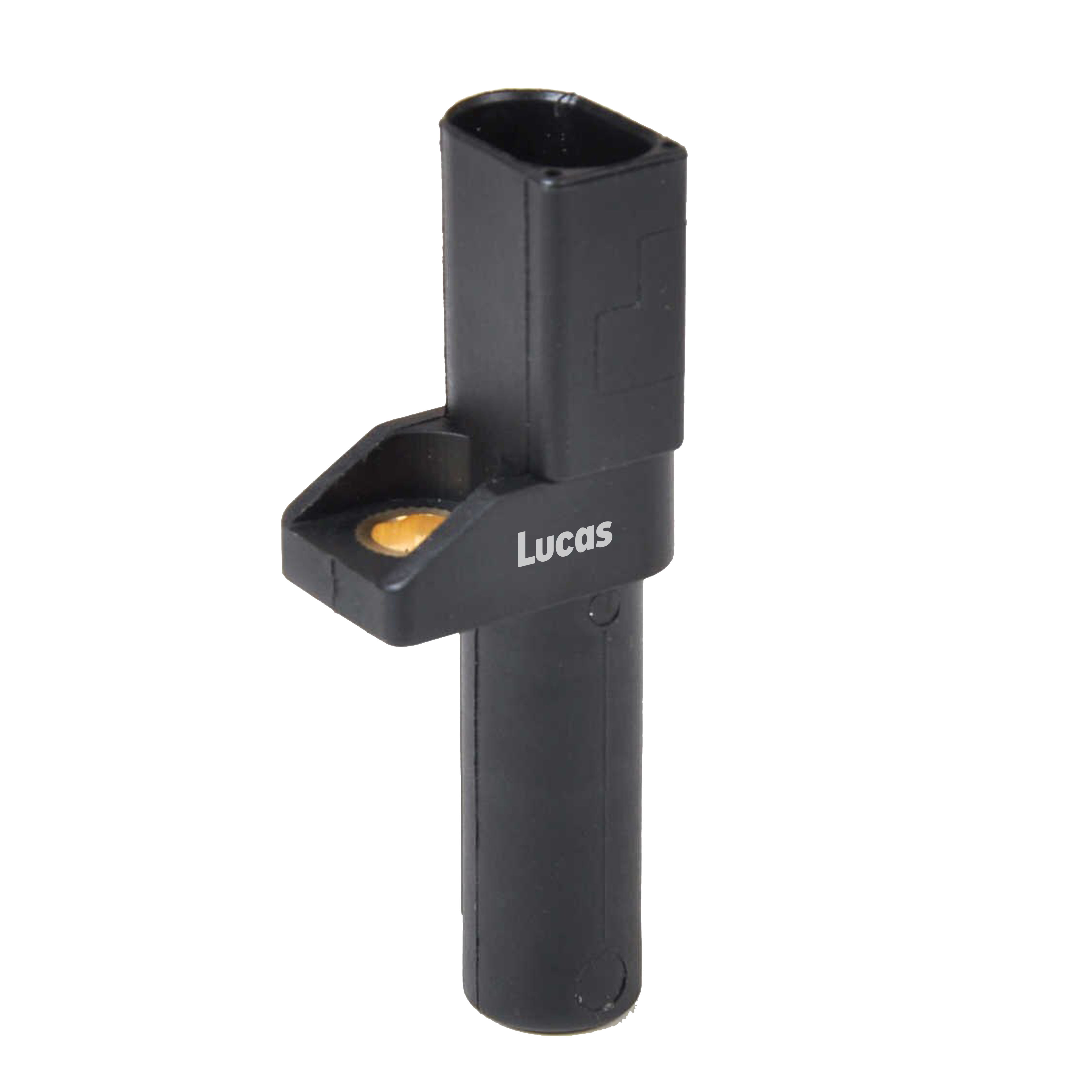 Lucas LEMSR118