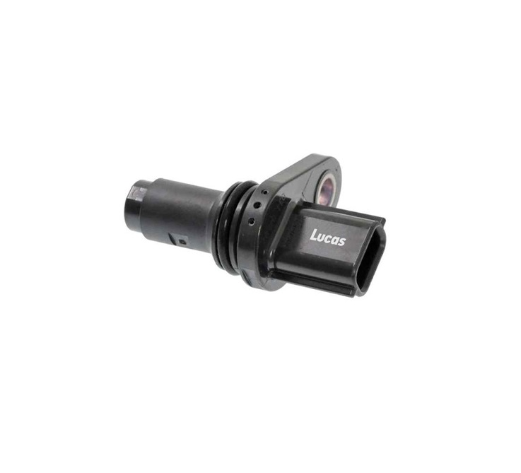 LEMSR175