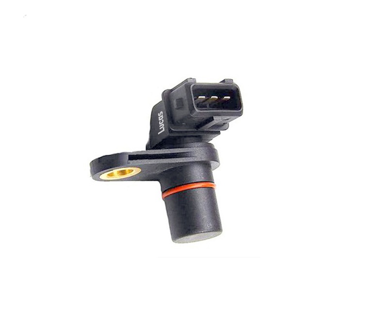 LEMSR206