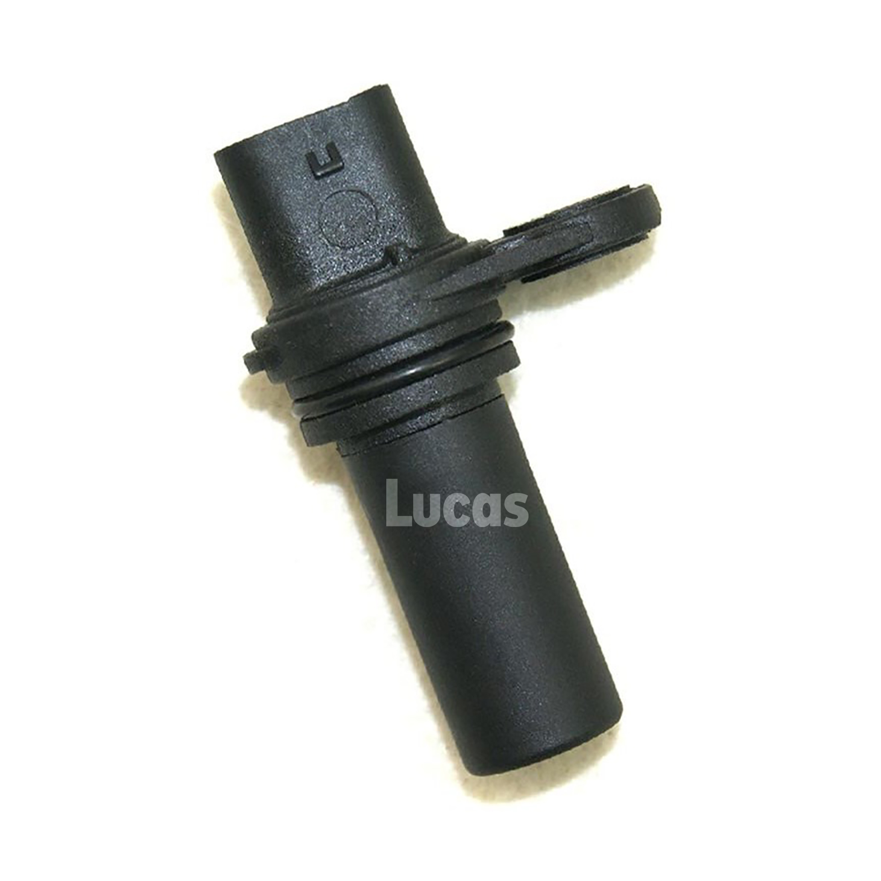 Lucas LEMSR211