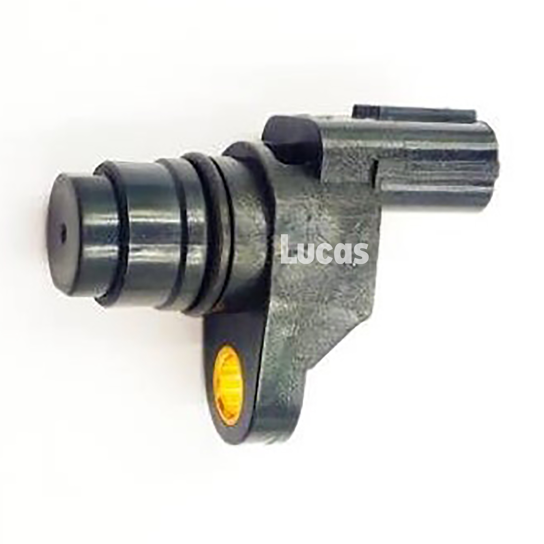 Lucas LEMSR217