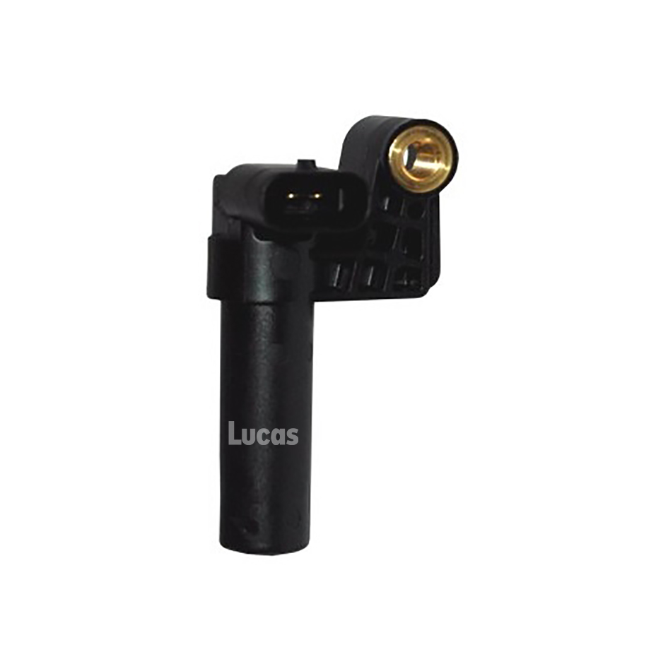 Lucas LEMSR218