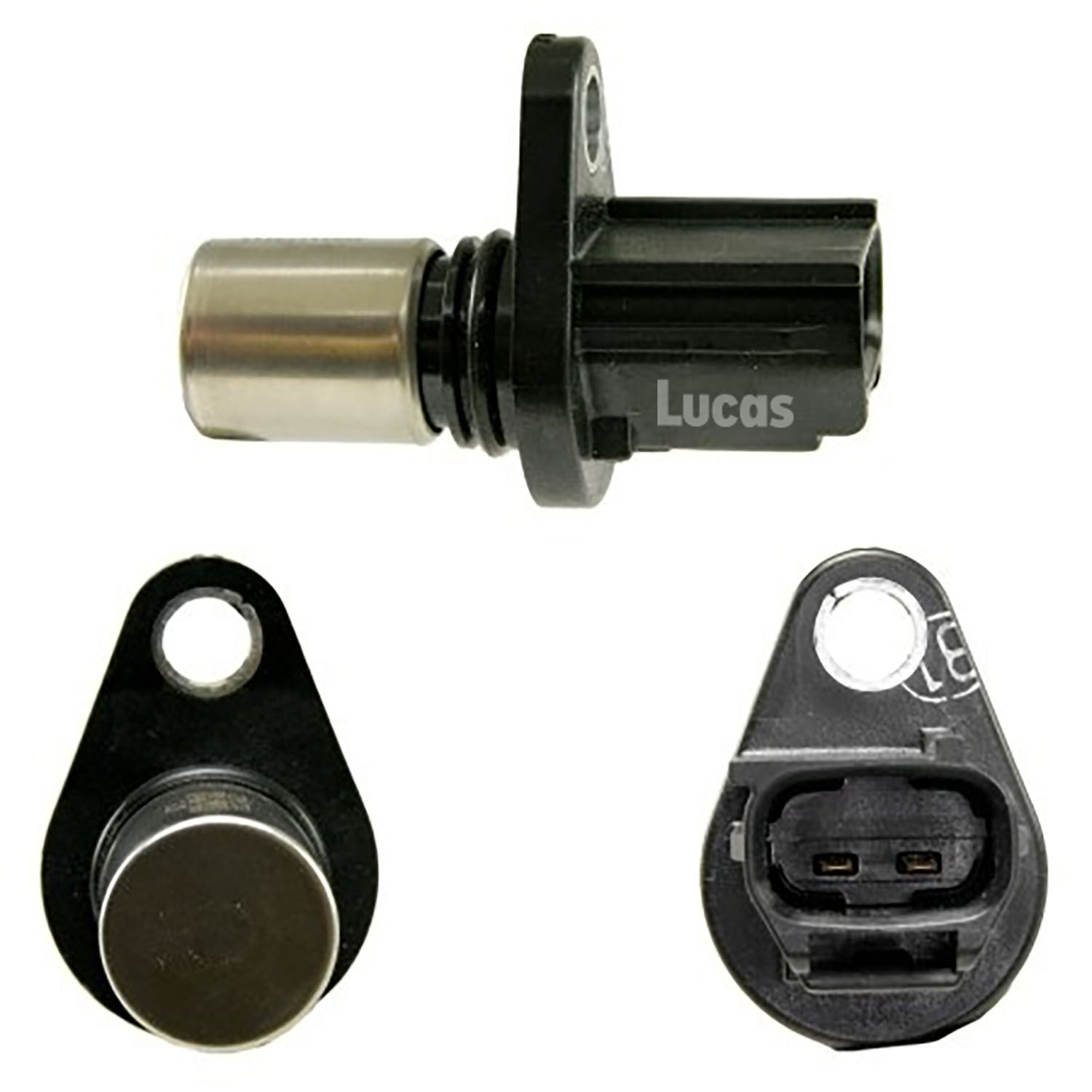 Lucas LEMSR233