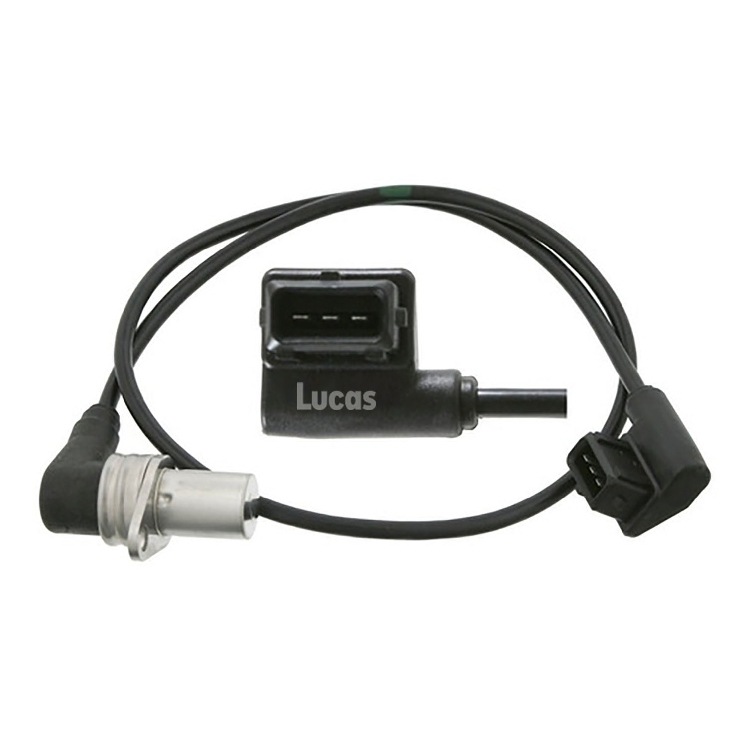 Lucas LEMSR236