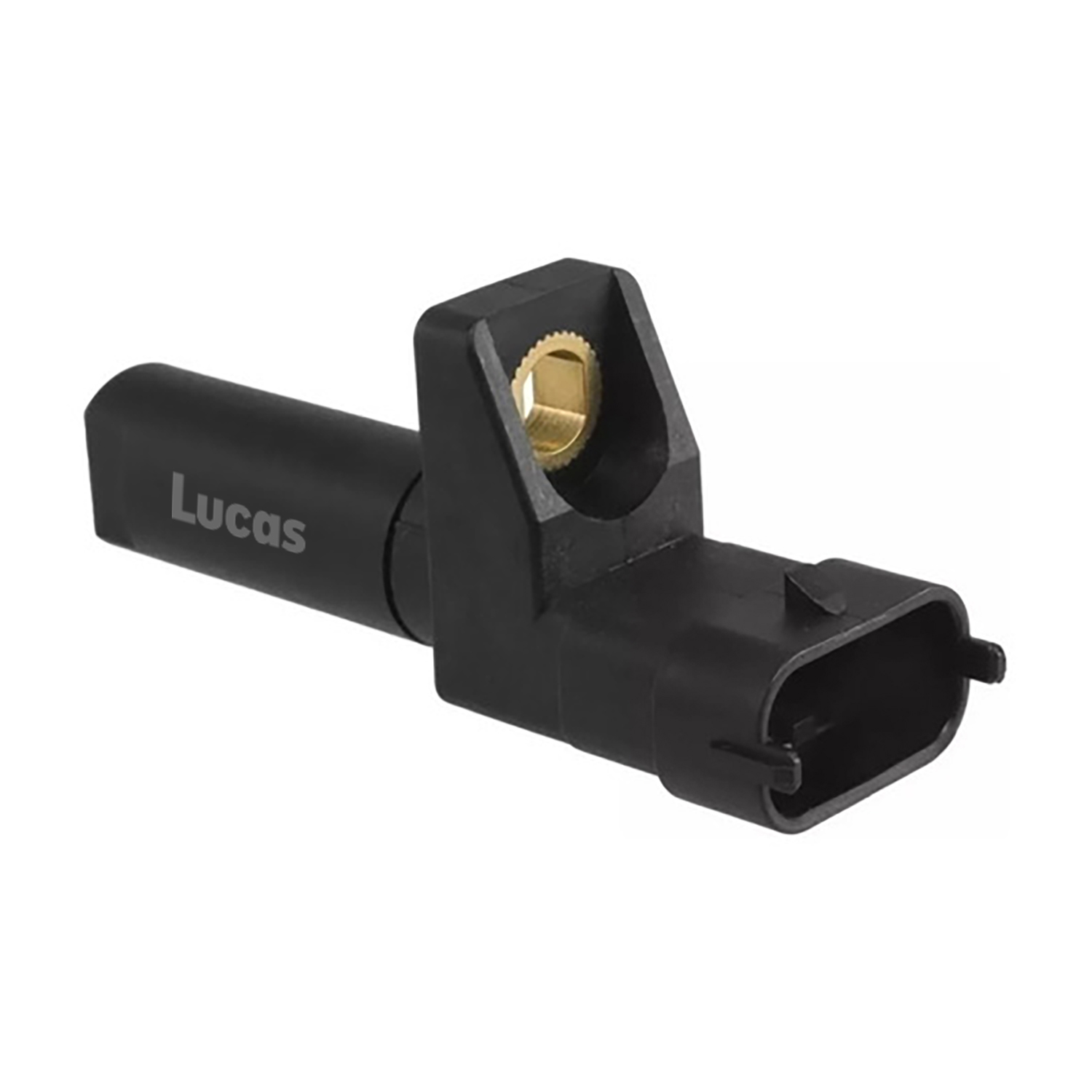 Lucas LEMSR238
