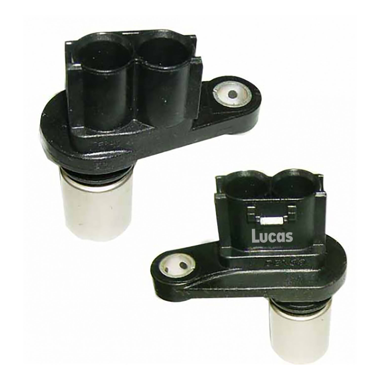 Lucas LEMSR254